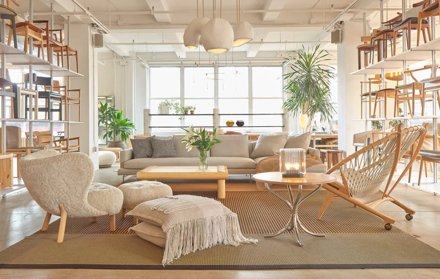 Elevating Lifestyle Logistics with Precision and Passion